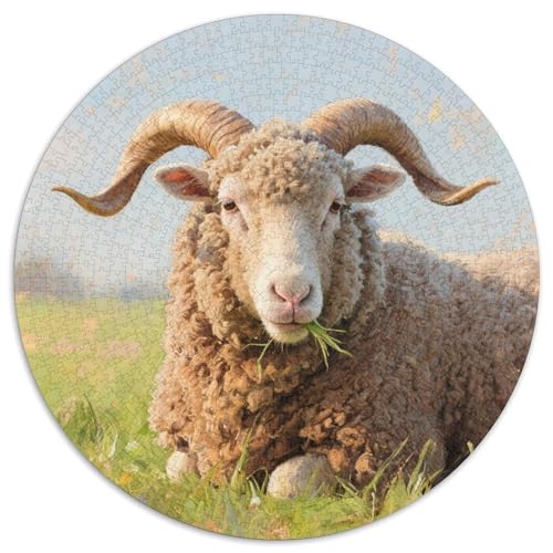 Schafe Puzzles 1000 Teile Schwer Puzzle Spielzeug Pädagogisches Spiel Impossible Tiere Herausforderungsspielzeug Für Erwachsene Kinder 1000pcs (67.5x67.5cm) von LFVBASOYU