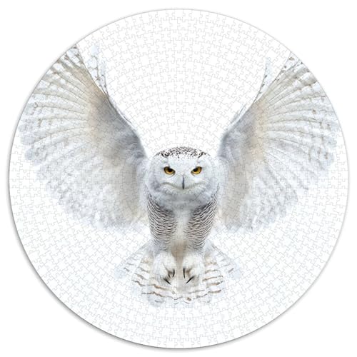 White Eule Puzzles 1000 Teile Schwer Puzzle Spielzeug Pädagogisches Spiel Impossible Herausforderungsspielzeug Für Erwachsene Und Kinder Ab 12 Jahren 1000pcs (67.5x67.5cm) von LFVBASOYU