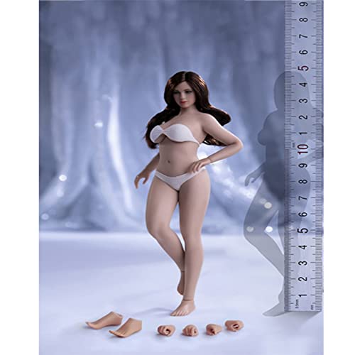 LFWDOCN 1/12 Scale Action Figure, T01 T02 T03 T04 T05 Female Super Seamless Flexible Body 6 inches Realistic Full Silicone Body with Stainless Steel Skeleton Collectable Doll (PLMB2022-T04B) von LFWDOCN