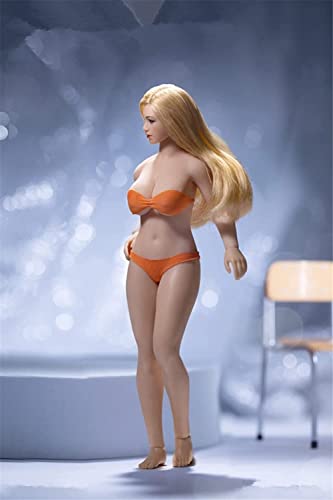 LFWDOCN 1/12 Scale Action Figure, T01 T02 T03 T04 T05 Female Super Seamless Flexible Body 6 inches Realistic Full Silicone Body with Stainless Steel Skeleton Collectable Doll (PLMB2022-T05A) von LFWDOCN