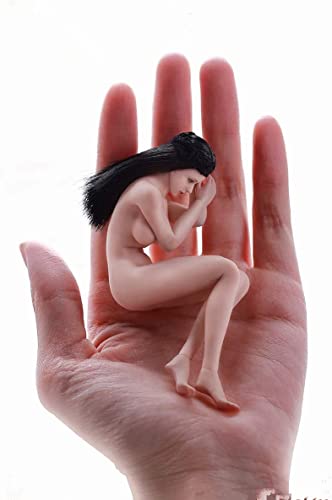 LFWDOCN 1/12 Scale Action Figure,6inch Male/Female Super-Flexible Seamless Body Doll Toy Collection (T01A Pale Skin Female Action Figure) von LFWDOCN