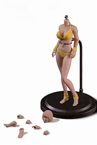 LFWDOCN 1/12 Scale Female Action Figure, 6 inch Girl Super-Flexible Seamless Body Doll Collection (T03A Pale Skin) von LFWDOCN