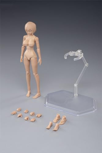 LFWDOCN 1/12 Scale Female Body,6inch Female Joint Flexible Action Figure Body with Head Sculpt&Stand Collection (Suntan Skin, Little Bust) von LFWDOCN