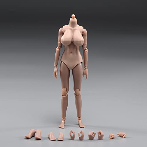 LFWDOCN 1/12 Scale Female Figure Body,6inch Female Joint Flexible Suntan Skin Action Figure Body Collectible (Huge Bust) von LFWDOCN