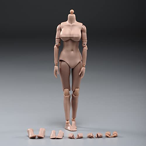 LFWDOCN 1/12 Scale Female Figure Body,6inch Female Joint Flexible Suntan Skin Action Figure Body Collectible (Mid Bust) von LFWDOCN