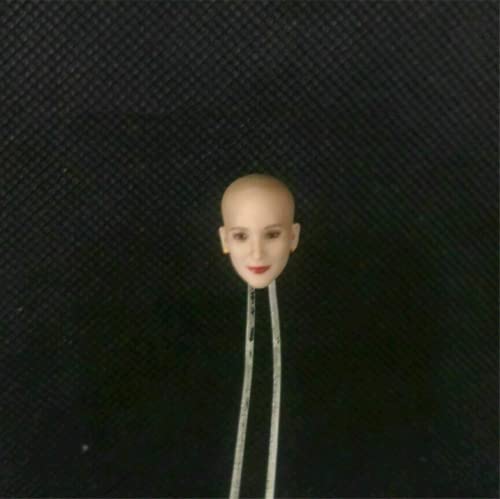 LFWDOCN 1/12 Scale Female Head Sculpt, Beauty Female Pale Skin Bald Head Carved for 6inches TBLeague Action Figure Body von LFWDOCN