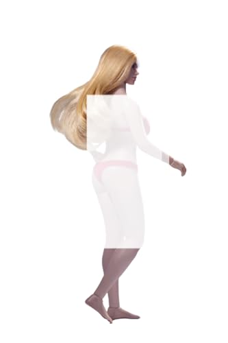 LFWDOCN 1/12 Scale Female Super Flexible Seamless Body 6 inch Anime Girl Action Figure PLLB2020-T02A von LFWDOCN