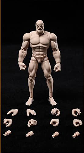 LFWDOCN 1/12 Scale Male Action Figure,6inch Flexible Muscular Strong Male Action Figure Body Collection (White Skin) von LFWDOCN