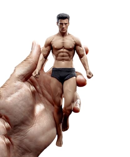 LFWDOCN 1/12 Scale Male Action Figure,6inch Male Super-Flexible Seamless Action Figure Body Doll Collection(TM01A Normal Version) von LFWDOCN