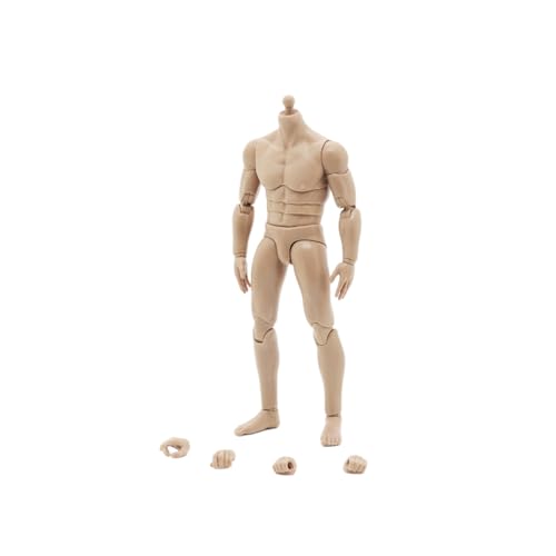 LFWDOCN 1/12 Scale Male Body,6inch Male Joint Flexible Soldier Miniature Action Figure Body Collectible (3pcs Waist) von LFWDOCN