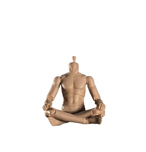 LFWDOCN 1/12 Scale Male Body,6inch Male Joint Flexible Strong Muscular Soldier Action Figure Body Collection (Normal Skin) von LFWDOCN