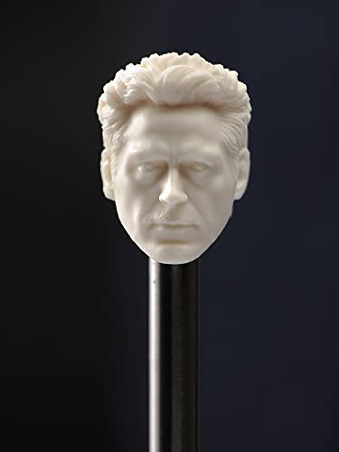 LFWDOCN 1/12 Scale Male Figure Head Sculpt, DIY Unpainted Handsome Men Tough Guy Head Model Carving Toy Miniature People Figurines for 6 inch PH TBL Action Figure (Tony Stark) von LFWDOCN