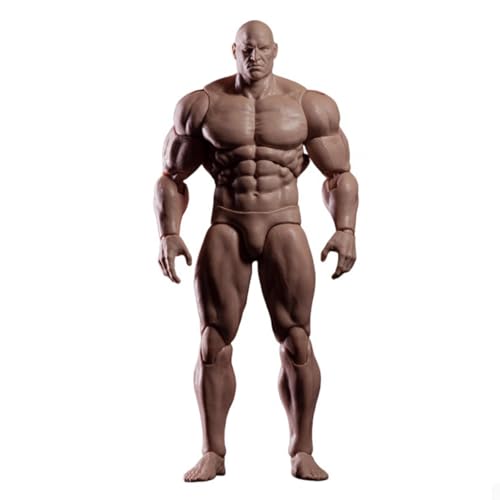 LFWDOCN 1/12 Scale Mann ActionFigurn Body F001 Miniature Figur Collectible with Kopf 6inch Strong Muscle Comic Men's Flexible militär Muscle Durable Body with Replace Hands Feet Joint von LFWDOCN