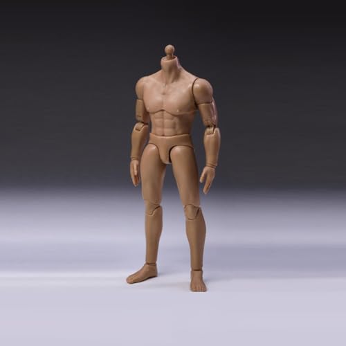 LFWDOCN 1/12 Scale Mann ActionFigurn Body Miniature Figur Collectible Without Kopf 6inch Men's Flexible militär Muscle Body with Replace Hands Feet(CH001) von LFWDOCN