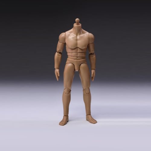 LFWDOCN 1/12 Scale Mann ActionFigurn Body Miniature Figur Collectible Without Kopf 6inch Men's Flexible militär Muscle Body with Replace Hands Feet(CH002) von LFWDOCN