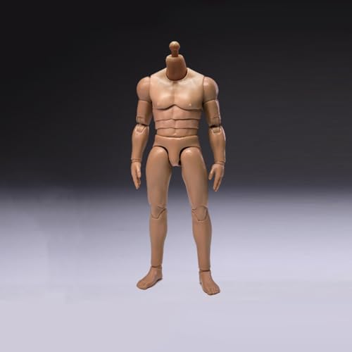 LFWDOCN 1/12 Scale Mann ActionFigurn Body Miniature Figur Collectible Without Kopf 6inch Men's Flexible militär Muscle Body with Replace Hands Feet(CH002A) von LFWDOCN