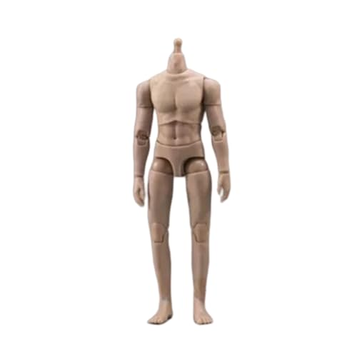 LFWDOCN 1/12 Scale Mann militär Body 6inch Mann Joint Flexible Strong Muscular ActionFigurn Body Collectible (Suntan Skin) von LFWDOCN