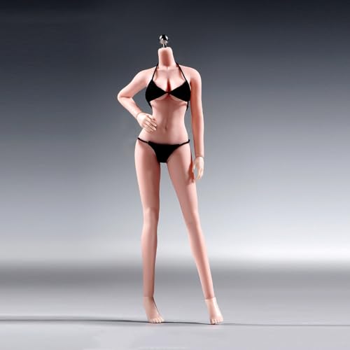 LFWDOCN 1/12 Scale weiblich ActionFigurn Body 6inch Super Flexible Seamless Plump Asian weiblich militär Body Type Figur with Detachable Feet Hand Shapes Miniature ActionFigurn Highly Detail von LFWDOCN