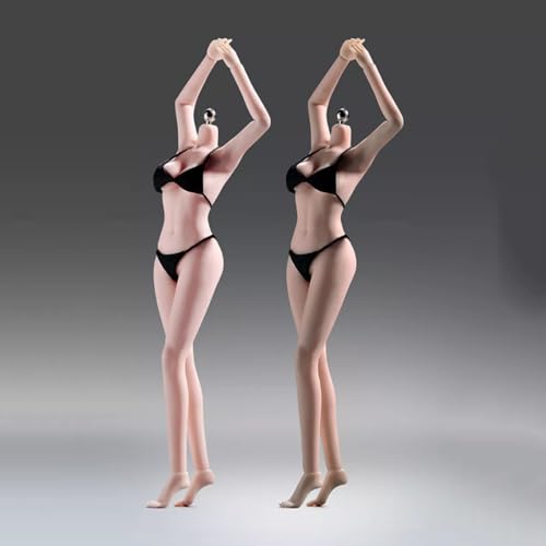 LFWDOCN 1/12 Scale weiblich ActionFigurn Body Charm Series Miniature Figur Collectible Without Kopf 6inch Super Flexible Seamless Beauty militär Detachable Feet Body(T35B Pale Skin) von LFWDOCN