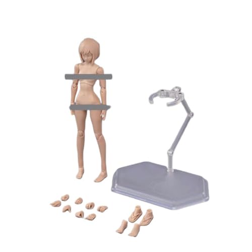 LFWDOCN 1/12 Scale weiblich ActionFigurn Body Miniature Figur Collectible 6inch Super Flexible Joint militär Figur Body with Kopf&Bracket(Suntan Skin Middle Bust) von LFWDOCN