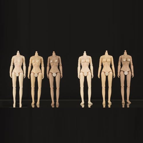 LFWDOCN 1/12 Scale weiblich militär Body 6inch weiblich Joint Flexible ActionFigurn Body Half Pack Adhesive Collection (Large Bust Tan Skin) von LFWDOCN