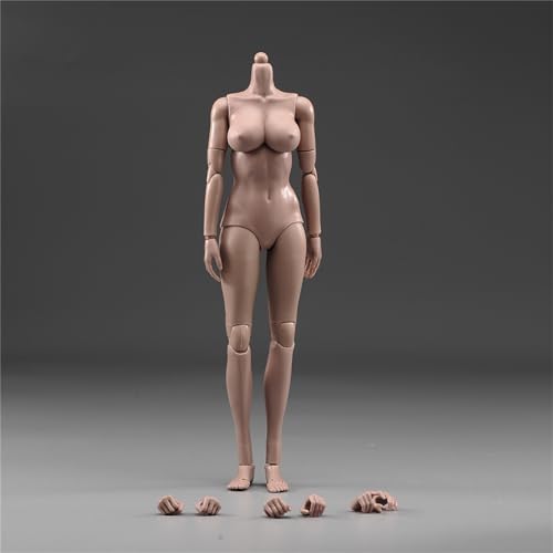 LFWDOCN 1/6 Female Suntan Pale Action Figure Dolls 12 Inch Middle Big Breasts Super Flexible Semi-Silicone Body Fit 1:6 Head Sculpt (Suntan Oversize Bust) von LFWDOCN