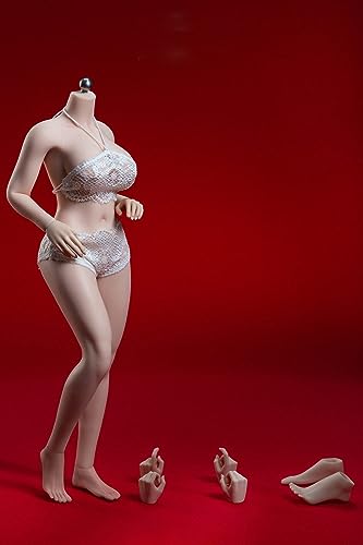 LFWDOCN 1/6 Scale 12 Inch Female Super Flexible Seamless Figure Body-Large Breast, Plump Body Type PLLB2020-S38A (Pale Skin, Without Head Sculpts) von LFWDOCN
