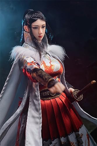 LFWDOCN 1/6 Scale Female Action Figure, 12 Inch Flexible Chinese Ancient Soldiers Female Assassin Action Figure Collecitble Full Set (Female Assassin) von LFWDOCN