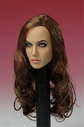 LFWDOCN 1/6 Scale Female Head Sculpt,Angelina Jolie European Girl Head Carved for 12 Inch Phicen Action Figure Body Doll (Planted Hair) von LFWDOCN