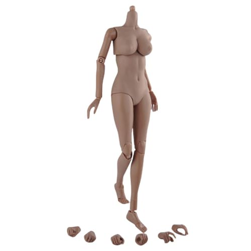 LFWDOCN 1/6 Scale Female Military Body Model 12 Inch Flexible Miniature Action Figures Body Doll Collection Plastic Model Figure (TQ0526 Suntan Skin Large Bust) von LFWDOCN
