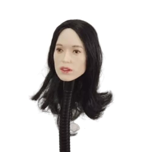 LFWDOCN 1/6 Scale Female Military Head Asian Actor SHU Qi Head Carved Model Fit for 12 Inch PH TBL JO Action Figures Body (Black Long Hair) von LFWDOCN