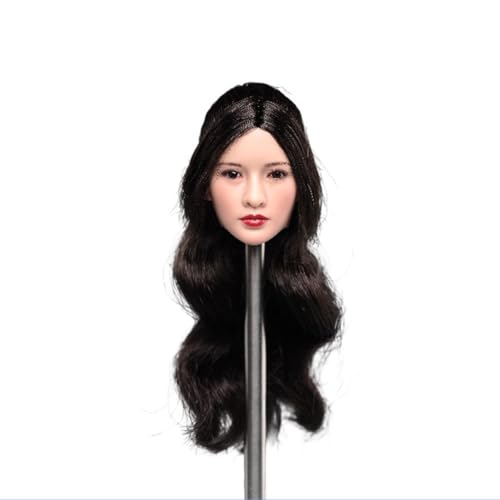 LFWDOCN 1/6 Scale Female Military Head Miniature Figure Collectible Asian Celebrity LIU Yan/Ada Head Carved Model Fit 12 Inch PH TBL JO Action Figures Body (Black High Ponytail) von LFWDOCN