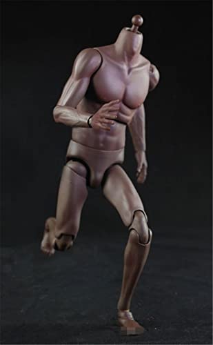 LFWDOCN 1/6 Scale Male Body, 12 Inch Male Strong Musclar Action Figure Basketball Sports Joints Movable Figure Body Collectible (Black Skin) von LFWDOCN