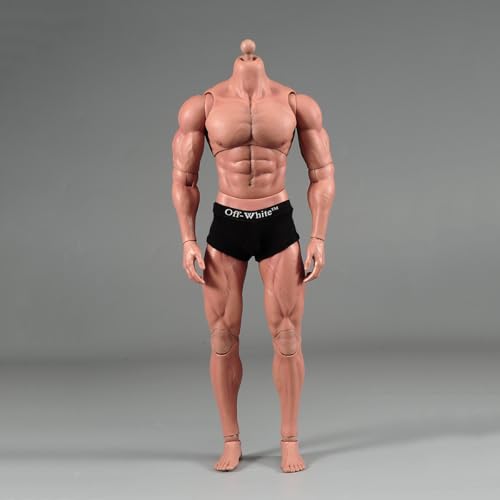 LFWDOCN 1/6 Scale Man Action Figures Asian Narrow Shoulders Body Miniature Figure Collectible Without Head 12 Inch Men's Flexible Military Muscle Durable Body (AT027) von LFWDOCN