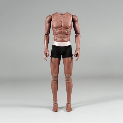 LFWDOCN 1/6 Scale Man Action Figures Asian Narrow Shoulders Body Miniature Figure Collectible Without Head 12 Inch Men's Flexible Military Muscle Durable Body (AT032) von LFWDOCN