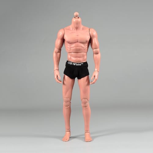 LFWDOCN 1/6 Scale Mann ActionFigurn Asian Narrow Shoulders Body Miniature Figur Collectible Without Kopf 12inch Men's Flexible militär Muscle Durable Body(AT016) von LFWDOCN