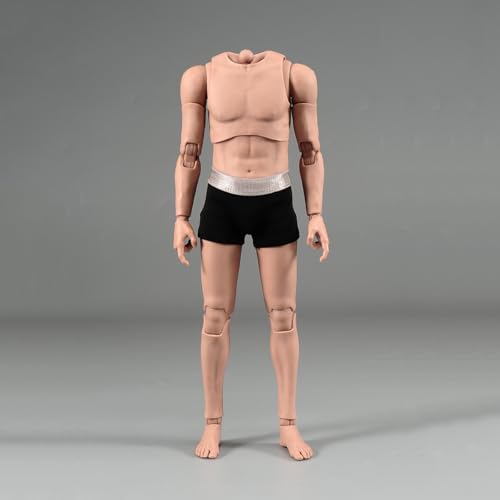 LFWDOCN 1/6 Scale Mann ActionFigurn Asian Narrow Shoulders Body Miniature Figur Collectible Without Kopf 12inch Men's Flexible militär Muscle Durable Body(AT042) von LFWDOCN
