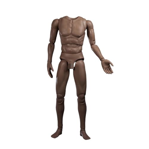LFWDOCN 1/6 Scale Mann ActionFigurn Body Miniature Figur Collectible Without Kopf 12inch Flexible Man's Models with Replacement Hands Accessories militär Durable Body(Brown AT020) von LFWDOCN