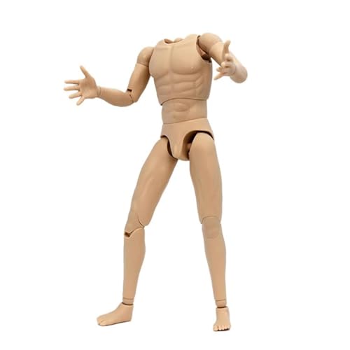 LFWDOCN 1/6 Scale Mann ActionFigurn Body Miniature Figur Collectible Without Kopf 12inch Flexible Man's Models with Replacement Hands and Feets Accessories militär Durable Body(SU-11 Pale) von LFWDOCN