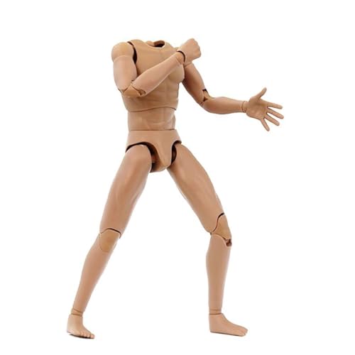 LFWDOCN 1/6 Scale Mann ActionFigurn Body Miniature Figur Collectible Without Kopf 12inch Flexible Man's Models with Replacement Hands and Feets Accessories militär Durable Body(SU-12 Suntan) von LFWDOCN