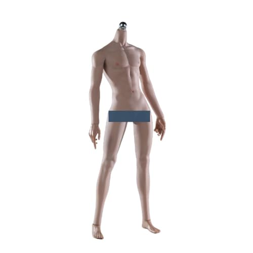 LFWDOCN 1/6 Scale Mann militär Body 12inch Super Flexible Mann Seamless Long Legs Muscle ActionFigurn Body Collectible (JOK-17A-BS Suntan Skin) von LFWDOCN