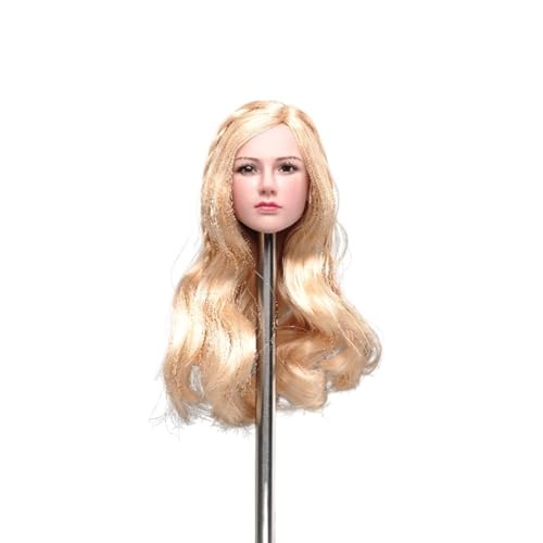LFWDOCN 1/6 Scale weiblich Kopf Miniature militär Kopf Model Beauty Valkyrja kopfure Fit for 12 inch ActionFigurn Body Collectible (Blonde) von LFWDOCN