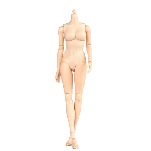 LFWDOCN 1/6 Scale weiblich militär Body Model 12inch Flexible Miniature ActionFigurn Body Doll Collection Plastic Model Figur (TQ0515 Pale Skin Mid Bust) von LFWDOCN