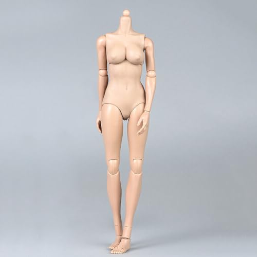 LFWDOCN 1/6 Scale weiblich militär Body Model 12inch Flexible Miniature ActionFigurn Body Doll Collection Plastic Model Figur (TQ0527 Suntan Skin Giant Bust) von LFWDOCN
