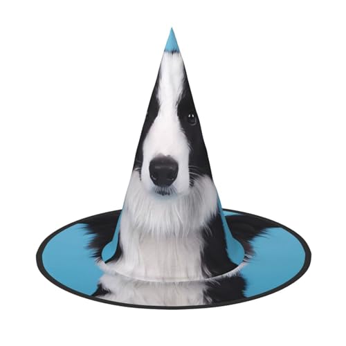 LGHHGY 1PC Halloween Hut - Border Collie Print Hexen Dekor Party Rollenspiel Zubehör Magic Wizard Cap für Frauen Männer LGHHGY 1PC Halloween Hut - Border Collie Print Hexen Dekor Party Rollenspiel Zubehör Magic Wizard Cap für Frauen Männer von LGHHGY
