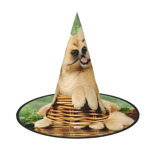 LGHHGY 3 Stück Halloween-Hut – Hund Golden Retriever Druck Hexen Dekor Party Rollenspiel Zubehör Magic Wizard Cap für Damen und Herren von LGHHGY