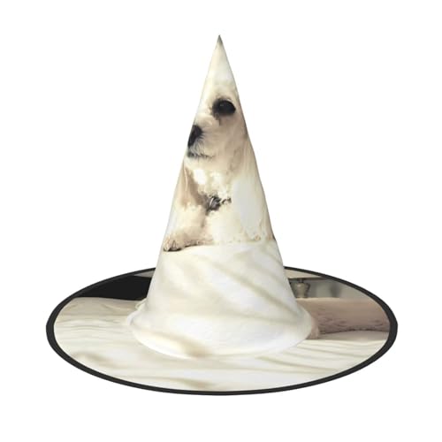 LGHHGY Halloween-Hut – französischer Pudel-Druck, Hexen-Dekoration, Party, Rollenspiel-Zubehör, magische Zauberer-Kappe für Damen, Herren, 3 Stück LGHHGY Halloween-Hut – französischer Pudel-Druck, Hexen-Dekoration, Party, Rollenspiel-Zubehör, magische Zauberer-Kappe für Damen, Herren, 3 Stück von LGHHGY