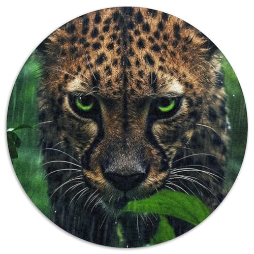 1000-teiliges Puzzle für Erwachsene, Dschungel-Leopard, Unmögliches Puzzle für Erwachsene, Denksportaufgabe, Spiel für Erwachsene, interaktive Familienaktivität, 67,5 x 67,5 cm 1000-teiliges Puzzle für Erwachsene, Dschungel-Leopard, Unmögliches Puzzle für Erwachsene, Denksportaufgabe, Spiel für Erwachsene, interaktive Familienaktivität, 67,5 x 67,5 cm von LGSHENG