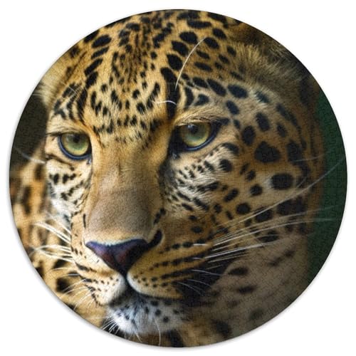 Puzzle für Erwachsene, 1000 Teile, Leopardenporträts, Kartonpuzzle, Denkspiel für Teenager, 67,5 x 67,5 cm Puzzle für Erwachsene, 1000 Teile, Leopardenporträts, Kartonpuzzle, Denkspiel für Teenager, 67,5 x 67,5 cm von LGSHENG
