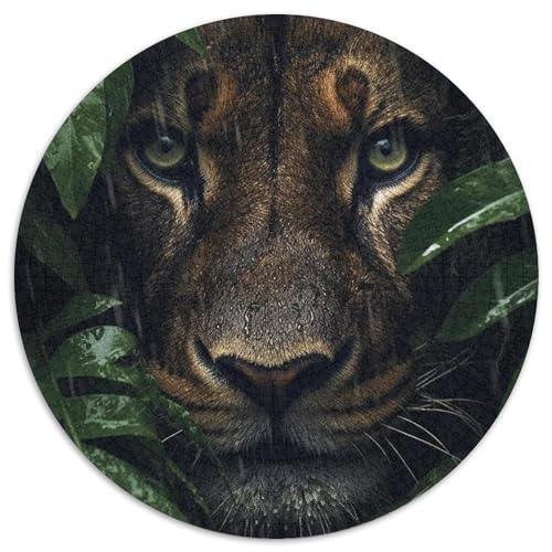 Puzzle für Erwachsene 1000 Löwen 1000-teiliges Puzzle für Erwachsene für Jugendliche Lernspiele Geschenke 67,5 x 67,5 cm von LGSHENG
